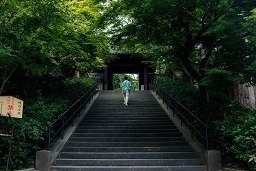 寺.jpg